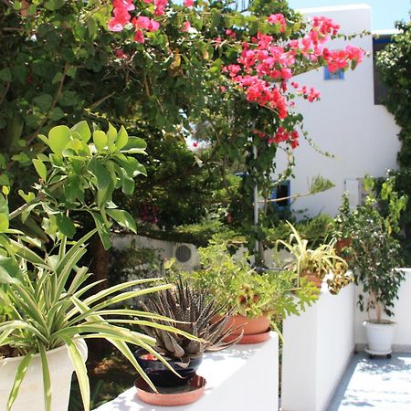 Loukia Apartments & Studios Naousa Exteriör bild