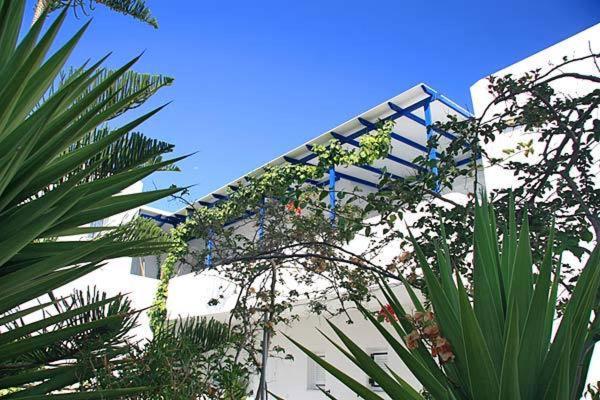 Loukia Apartments & Studios Naousa Exteriör bild