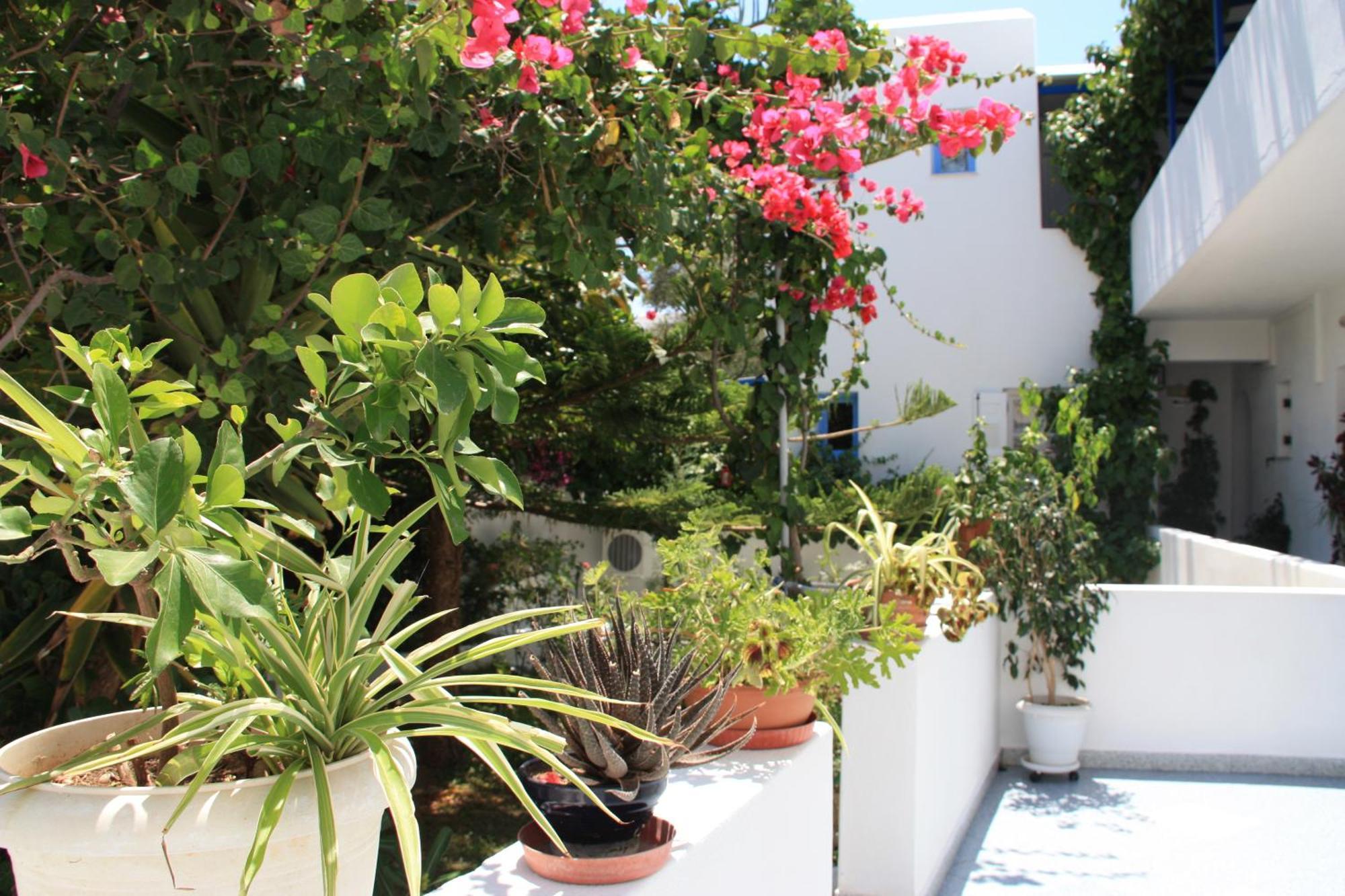 Loukia Apartments & Studios Naousa Exteriör bild